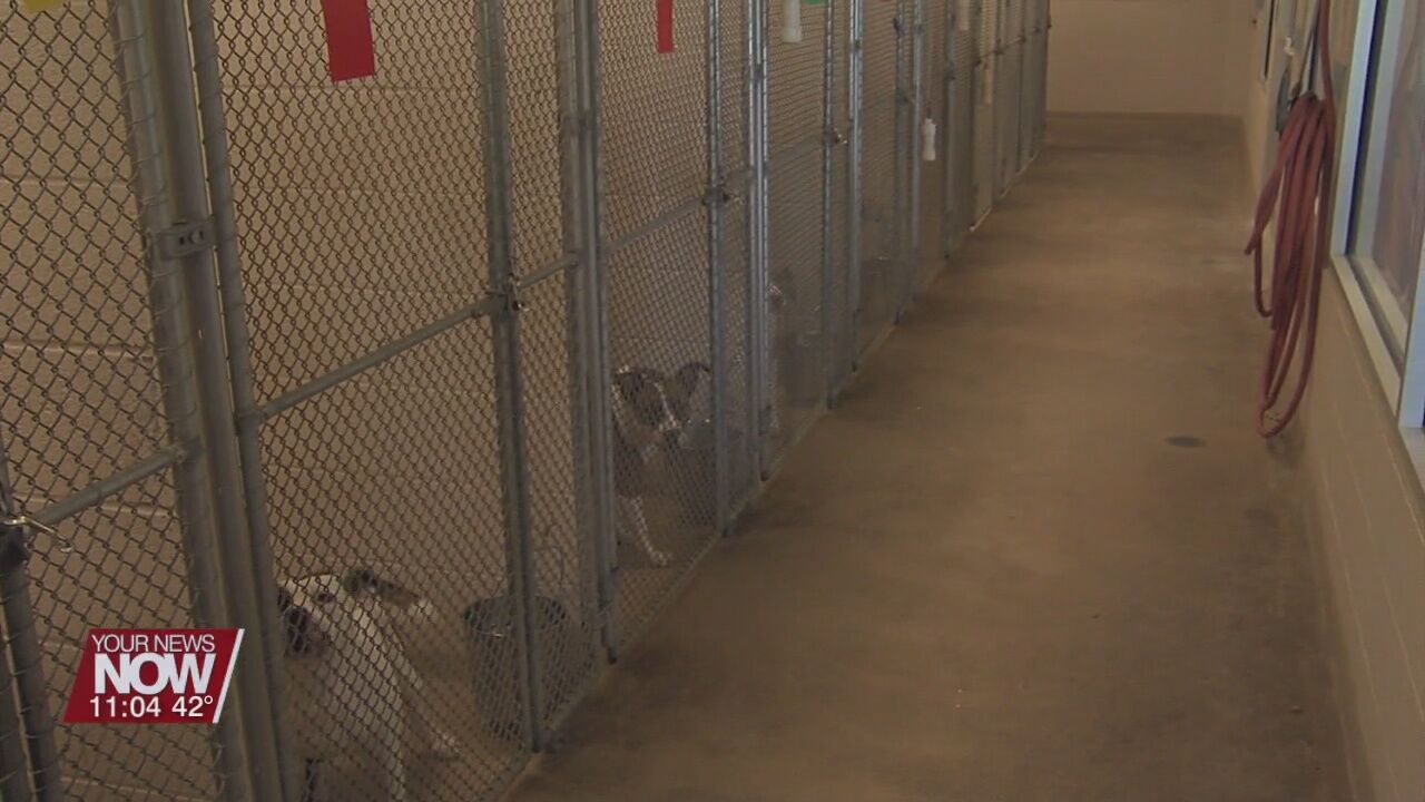 SPCA asking for donations for their upcoming fundraiser